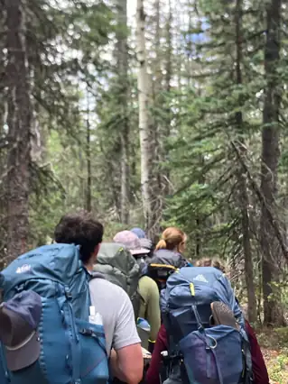 Backpackers hiking through a forest