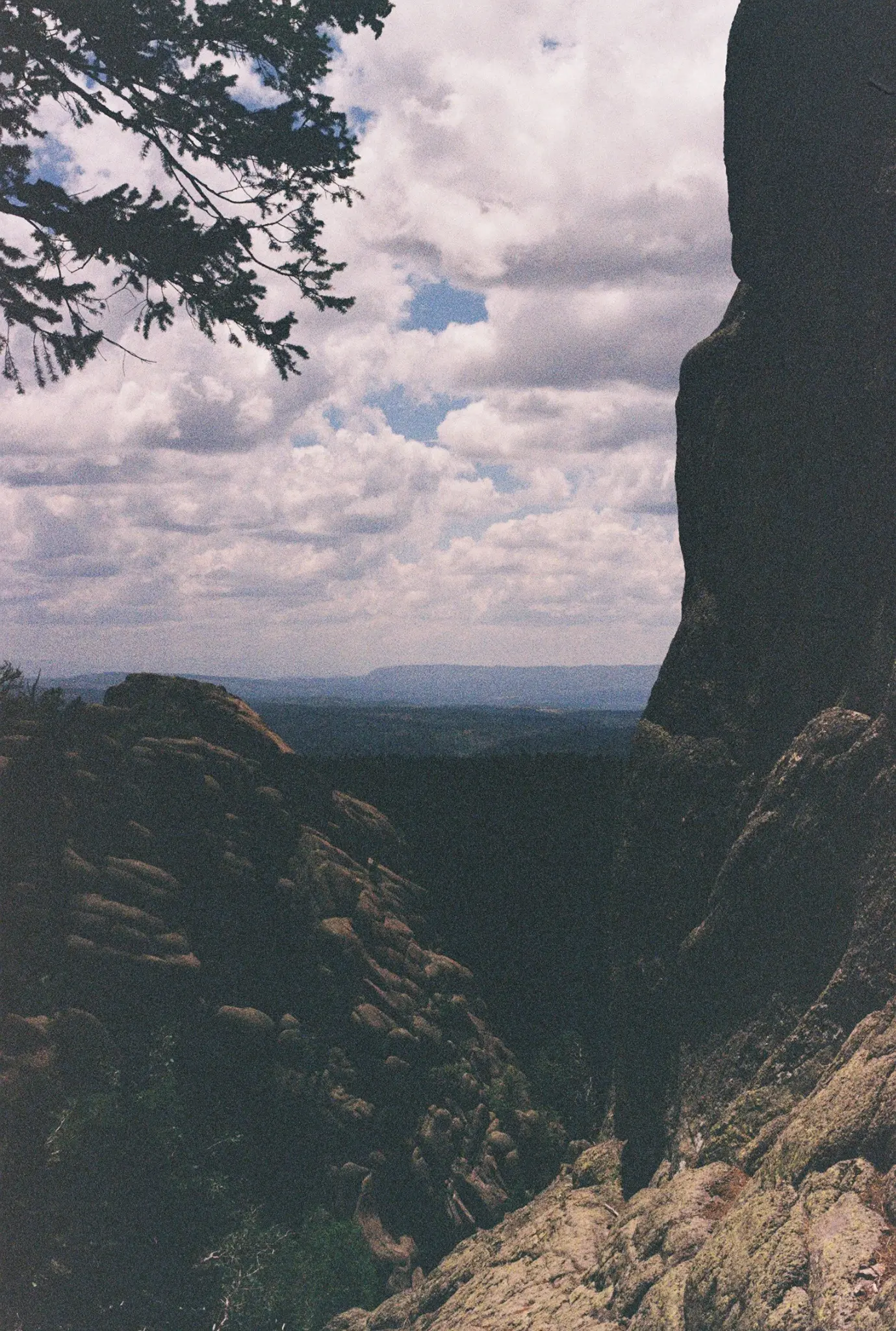 A mountain opening framed by pine branches and rock