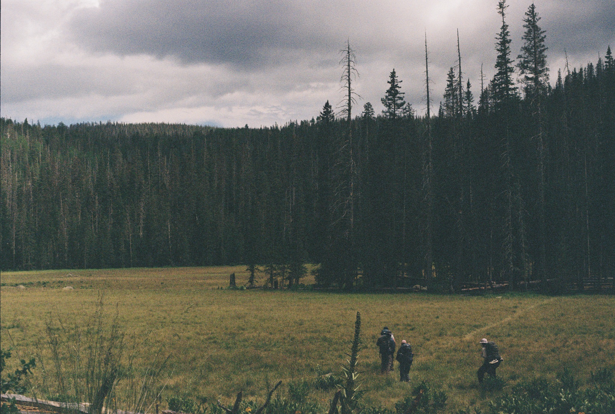 MCA members crossing an alpine meadow beneath a forested ridge